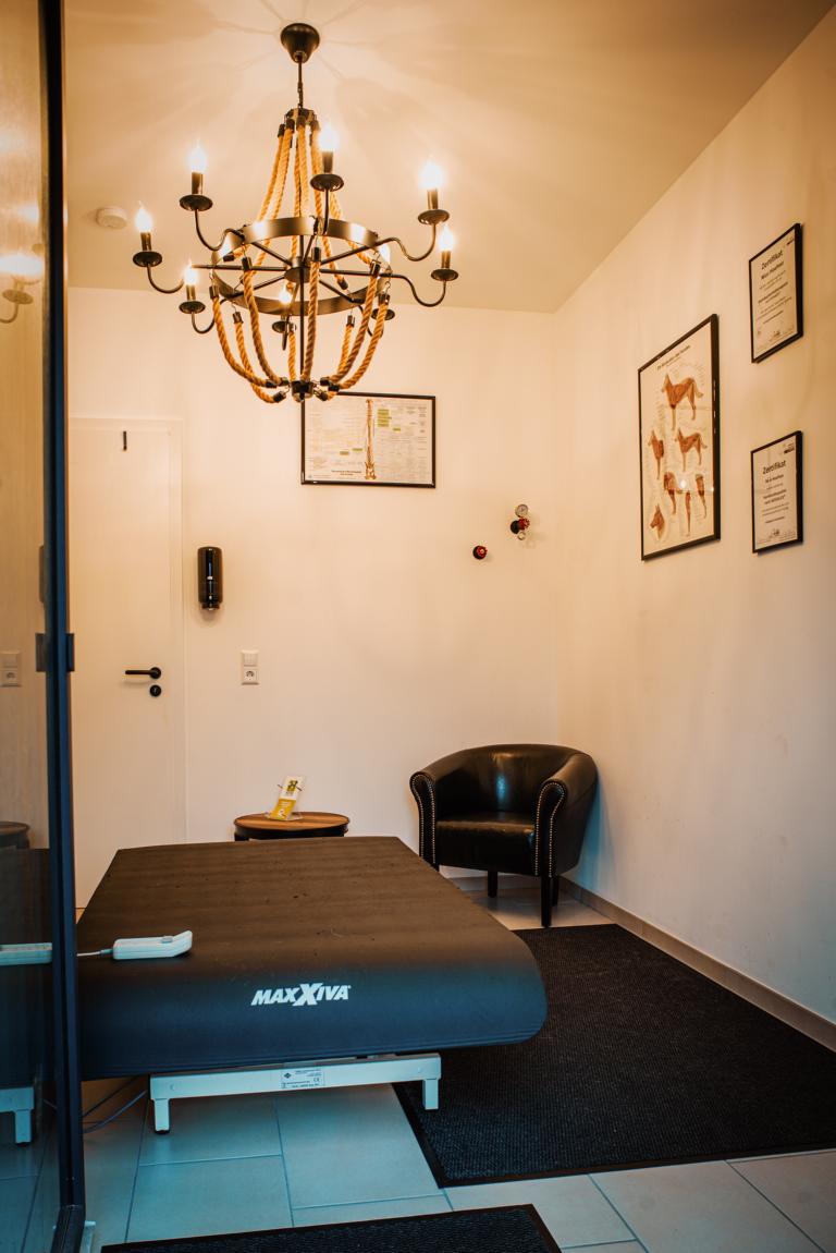 Behandlung_1_Hundephysio1