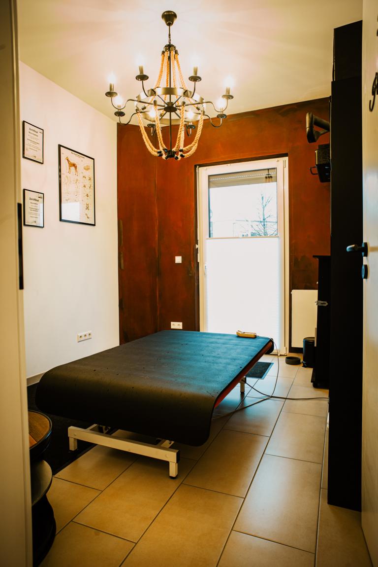 Behandlung_1_Hundephysio3