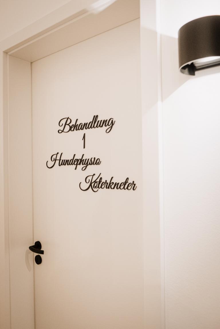 Behandlung_1_Hundephysio4