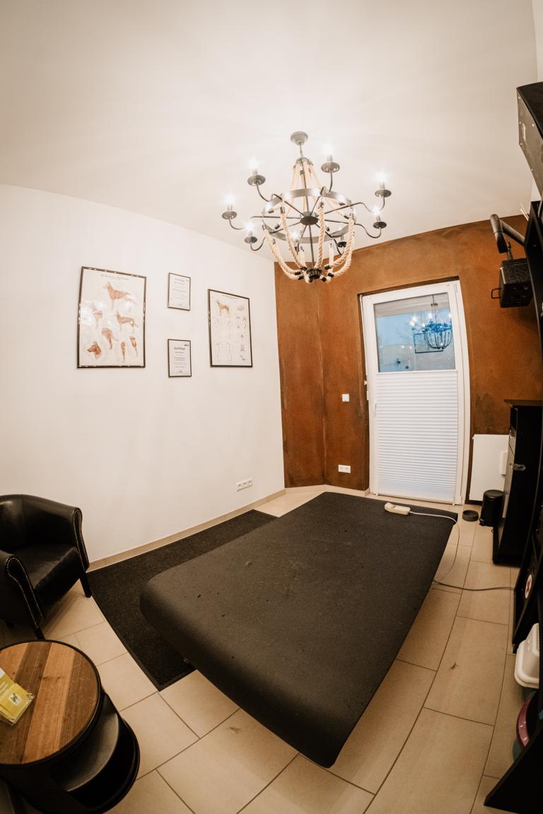 Behandlung_1_Hundephysio5