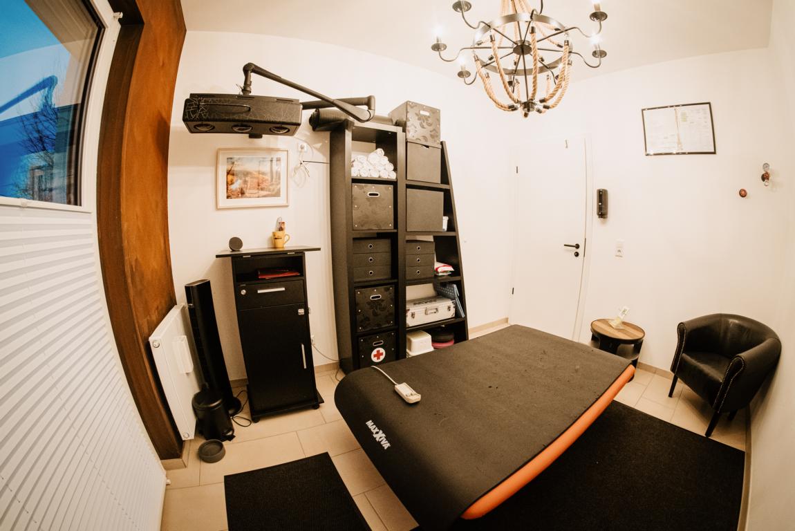 Behandlung_1_Hundephysio7